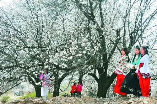 蓝鲸直播体育 赛事直播大屏